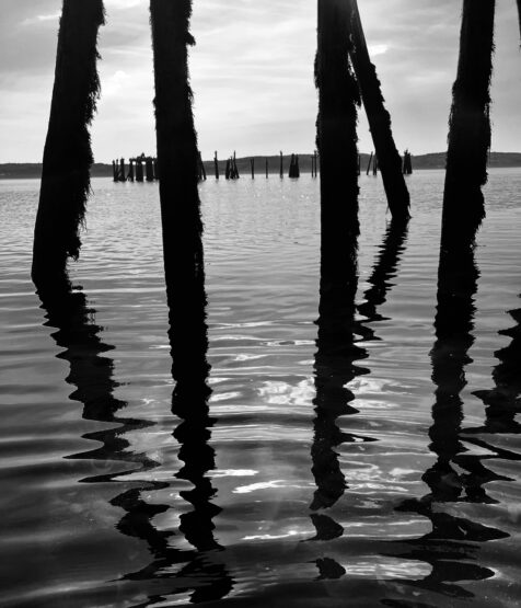 Wharf posts